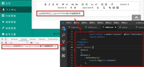 Vue實戰 Vue Quill Editor富文本編輯器使用指南 - 許昌鯉魚IT編程教育